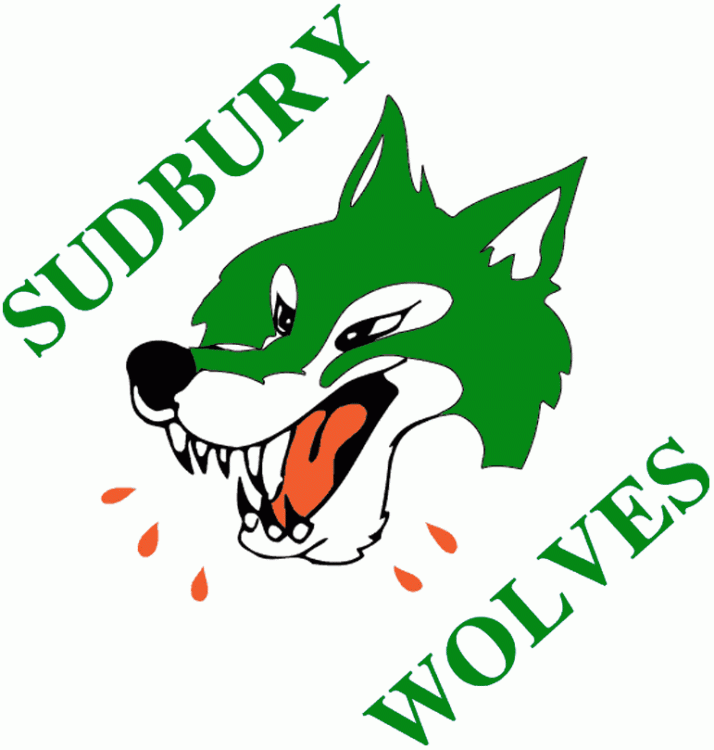 Sudbury Wolves 1987-1989 primary logo iron on transfers for clothing